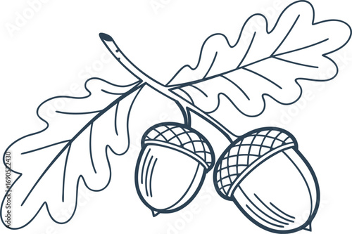 Illustration of two acorns with an oak leaf, showcasing natures bounty and the beauty of autumn in a simple design