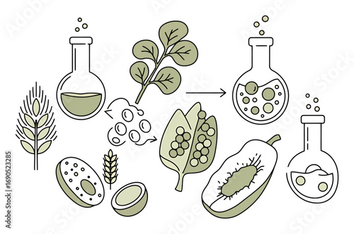 Plant-Based Protein Sources Line Art Vector
