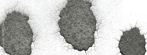 Organic ink blot texture with grainy black splatter design