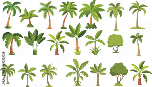 Collection of diverse tropical palm and leafy green trees isolated on transparent background