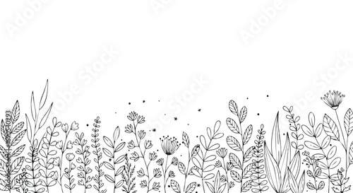 Wallpaper Mural Elegant botanical line art background for stylish branding and modern stationery designs, simple minimal herbs Torontodigital.ca