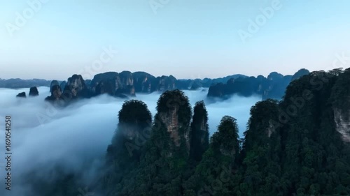 Misty morning over the dramatic karst mountain peaks of zhangjiajie national forest park, china, shrouded in ethereal clouds and fog
