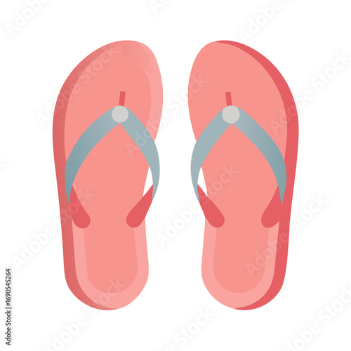 flip flops vector illustration