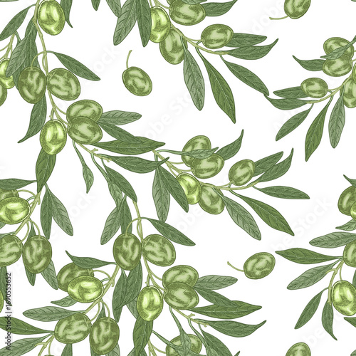 Olives seamless pattern. Hand drawn green olives branches isolated on white background. Vector illustration.