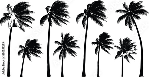 Set of seven palm tree silhouettes with wind-blown fronds — black vector illustration for tropical, nature, botanical, and design themes