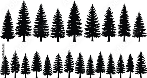 Two rows of pine tree silhouettes — black vector illustration showing forest density variation for nature, landscape, and environmental design themes