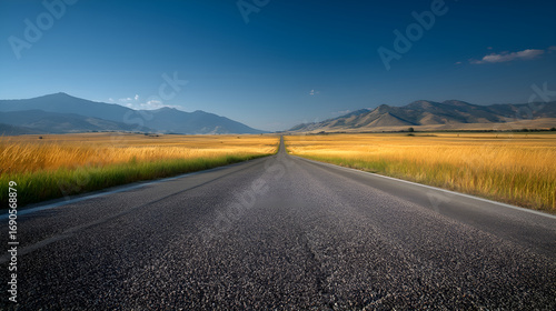 Open road leading through golden fields towards majestic mountains