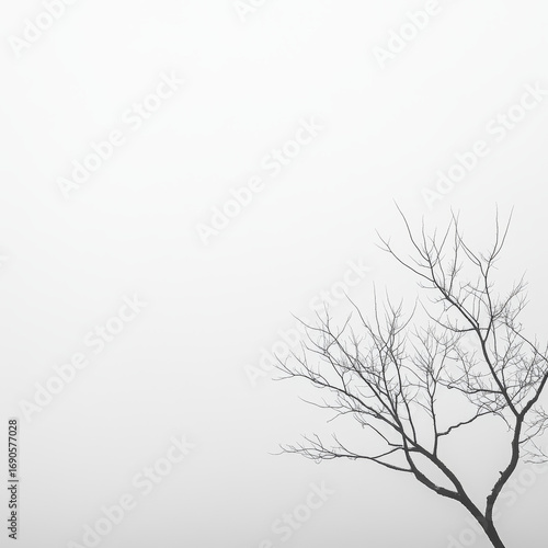 Wallpaper Mural Minimalist black and white image features bare tree branches. The stark silhouette creates a serene and dramatic atmosphere. Torontodigital.ca