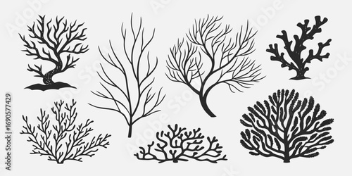 You've uploaded an image that appears to be a collection of coral silhouette illustrations. These silhouettes showcase a wide variety of coral shapes and structures, including branching corals, fan co