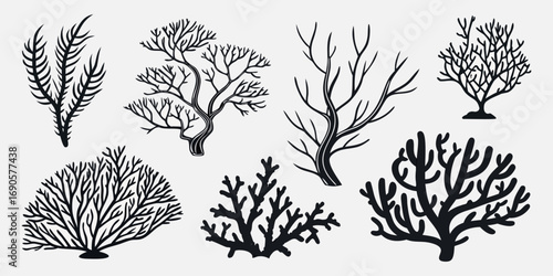 You've uploaded an image that appears to be a collection of coral silhouette illustrations. These silhouettes showcase a wide variety of coral shapes and structures, including branching corals, fan co