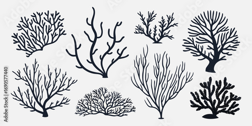You've uploaded an image that appears to be a collection of coral silhouette illustrations. These silhouettes showcase a wide variety of coral shapes and structures, including branching corals, fan co
