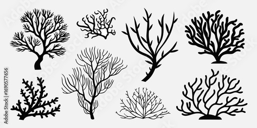 You've uploaded an image that appears to be a collection of coral silhouette illustrations. These silhouettes showcase a wide variety of coral shapes and structures, including branching corals, fan co