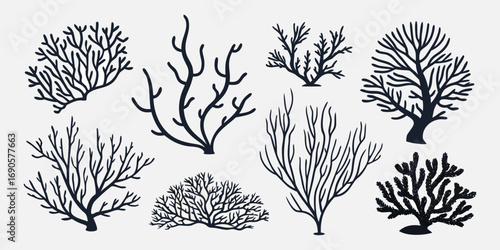 You've uploaded an image that appears to be a collection of coral silhouette illustrations. These silhouettes showcase a wide variety of coral shapes and structures, including branching corals, fan co