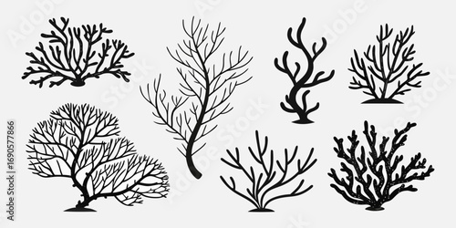 You've uploaded an image that appears to be a collection of coral silhouette illustrations. These silhouettes showcase a wide variety of coral shapes and structures, including branching corals, fan co
