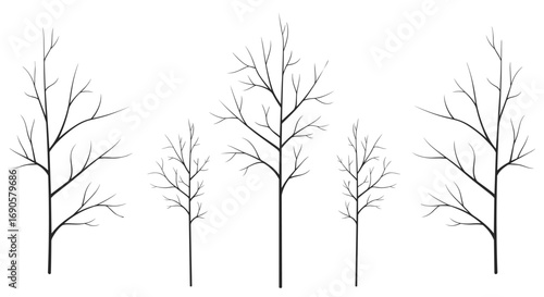 Illustration of five bare deciduous trees in a row against a white background
