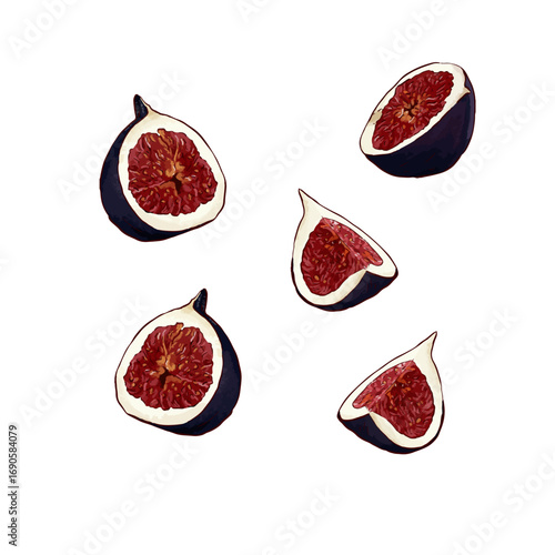 Sliced figs vector