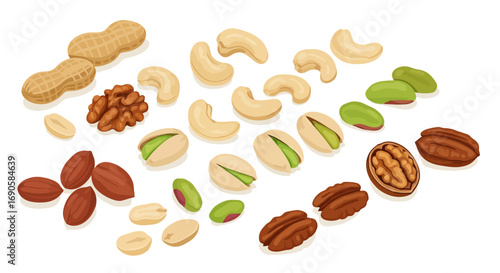 Mixed nuts collection on white background featuring peanuts, cashews, and walnuts