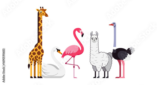 Group of various animals together.