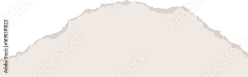 Notebook page with ripped edges. Paper scrap for collage layouts and scrapbook art. Retro template with rough accents. Realistic paper patch detail.