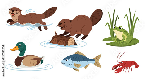 Collection of Aquatic Animals and Wildlife in Natural Habitat.