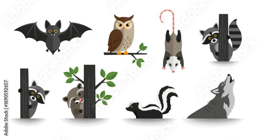 Adorable nocturnal animals in playful poses.