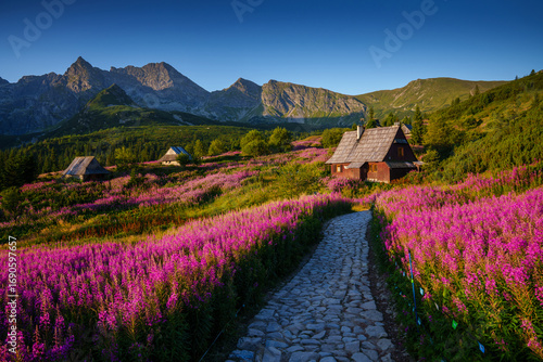 Mountain village with pink wildflowers