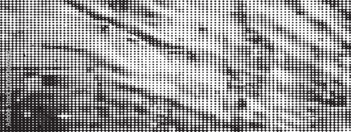 Halftone dot pattern with diagonal lines creating textured abstract artistic black and white effect