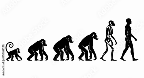 Human Evolution Stages From Ape To Man Silhouette.