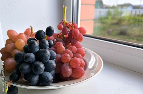 grapes on the table