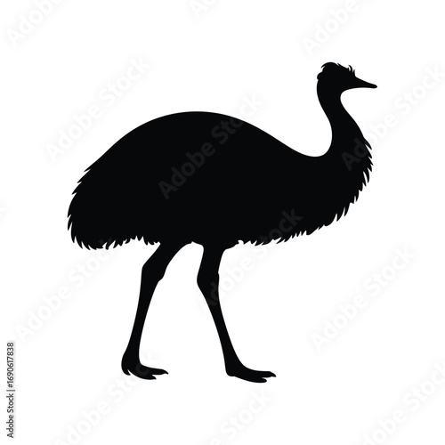 Silhouette of a large flightless bird standing