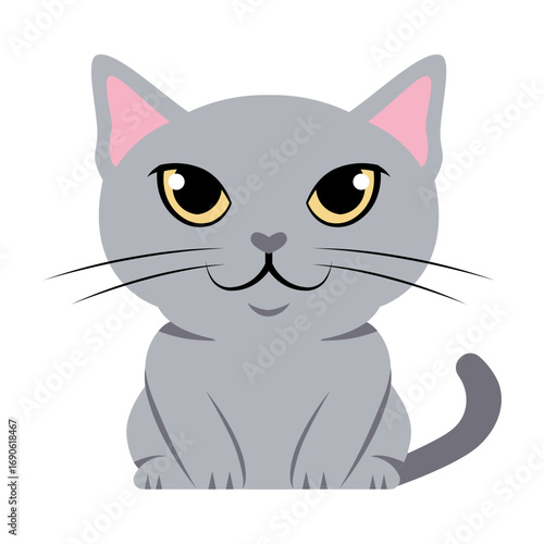 This British Shorthair icon is suitable for Cat Breeds, Pets, etc.