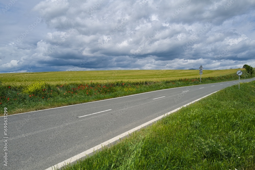 Fototapeta premium 자연 목초 경작 녹색 들판 하늘 구름 아웃도어