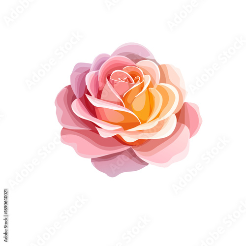 Elegant Single Rose Flower
