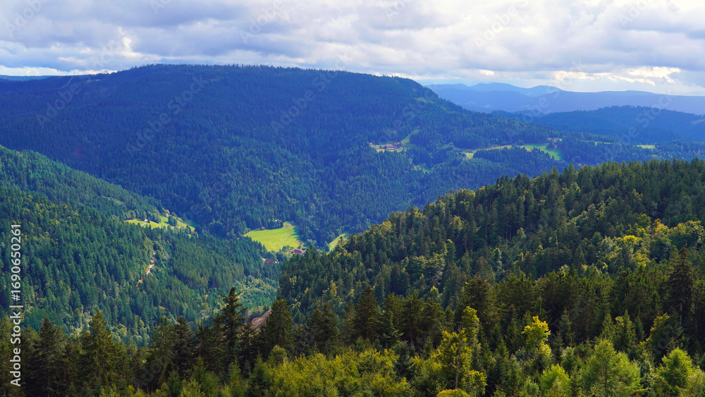 Fototapeta premium beautiful view of the mountains with trees