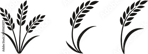 Set of ear of wheat icons