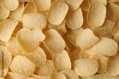 Homemade Flavored Paprika Potato Chips in a Bowl, top view. Flat lay