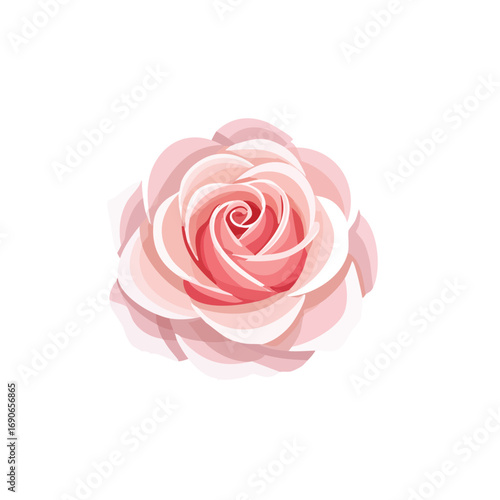 Soft Pink Rose Illustration