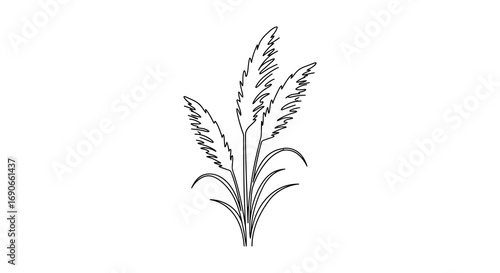 a delicate sketch of grass with fine lines and natural curves