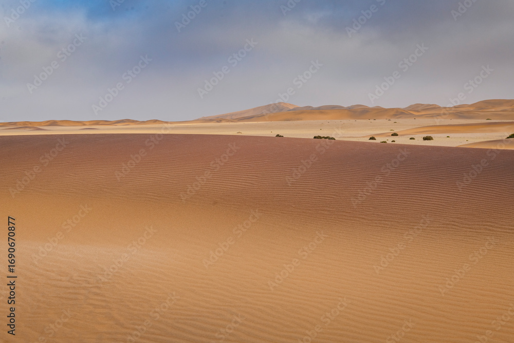 Fototapeta premium Dune and desert landscape near Swakopmund