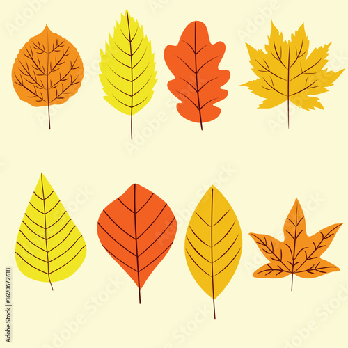 Collection of 8 Autumn leaves set featuring maple and oak leaves in orange, mustard yellow and brown . For clip art, stickers and greeting card,