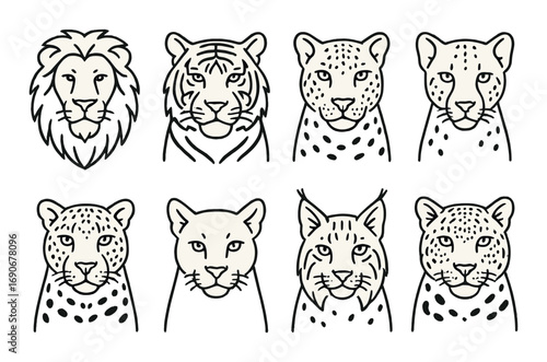 Line art illustrations of lion, tiger, leopards, cheetah, lynx heads on brown background