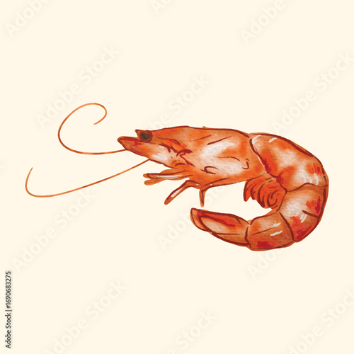 Illustration of an Seafood Shrimp