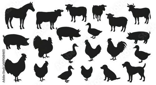 Collection of Various Farm Animal Silhouette Isolated on White Background