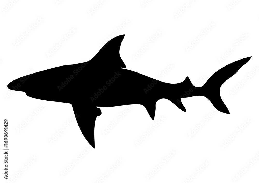 Obraz premium サメのシルエット