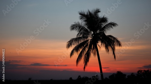 Vibrant sunset silhouette of a tall coconut palm against a colorful tropical sky with warm hues and peaceful atmosphere, perfect for nature or travel themes
