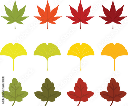 autumn leaves