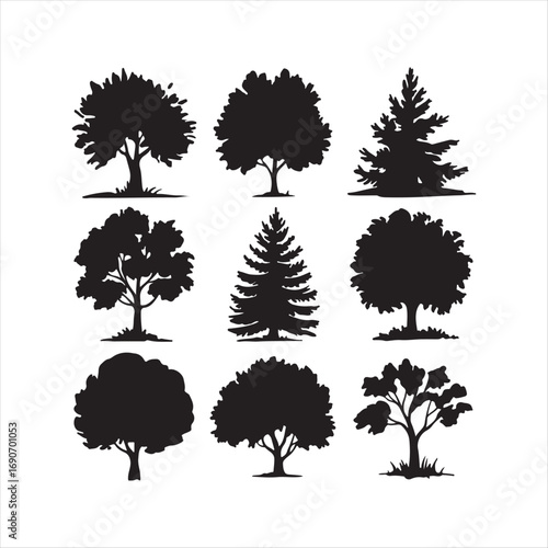 Pine tree silhouettes. Evergreen forest firs and spruces black shapes, wild nature trees templates. Vector illustration woodland trees set on white background