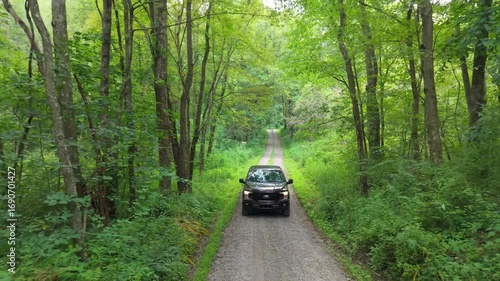Driving through the forest during summer