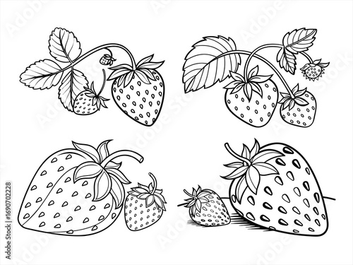 coloring page line art the strawberry black vector bundle