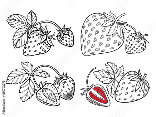 coloring page line art the strawberry black vector bundle